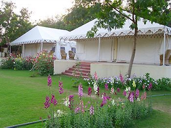 Jungle View Resort Sawai Madhopur Exterior foto